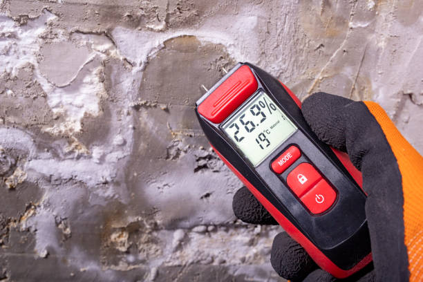 Best Industrial Mold Remediation in West Cape May, NJ