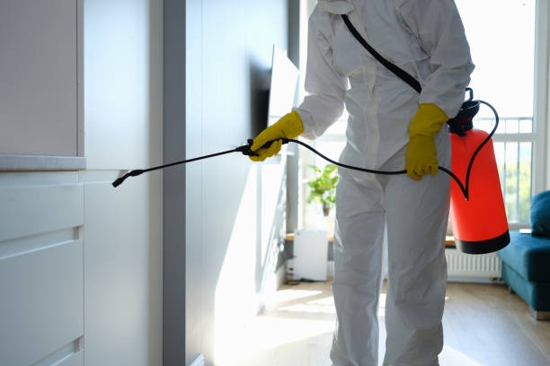 Best Attic Mold Remediation in West Cape May, NJ